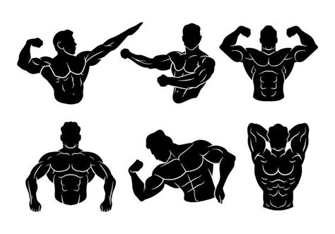 Muscle Vector Art, Icons, and Graphics for Free Download