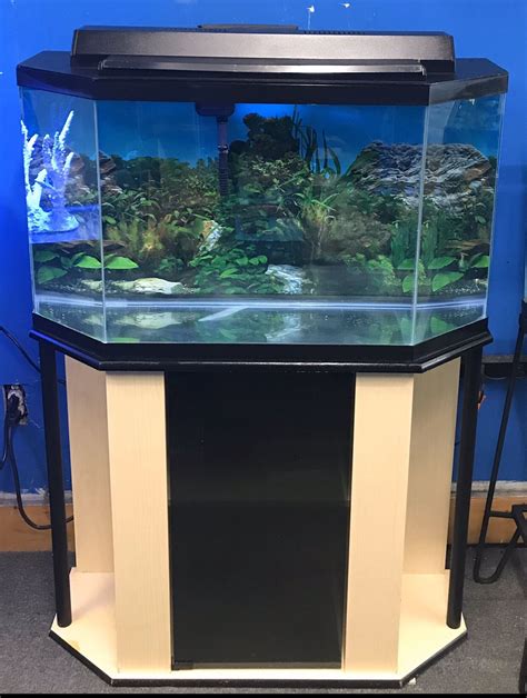 35 gallon Flatback half Hexagon Aquarium fish tank complete $200 for ...