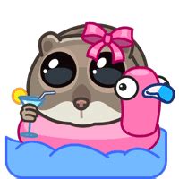 Notcoin Contest