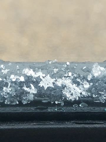 Image result for Object Lesson New