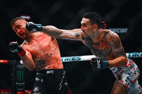 UFC Fighters Wallpapers - 4k, HD Backgrounds on WallpaperBat