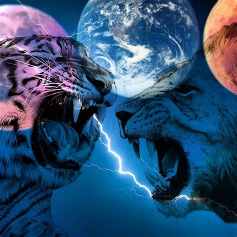 Tiger Vs Lion Wallpaper