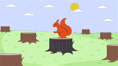 Environment Animation 的图像结果