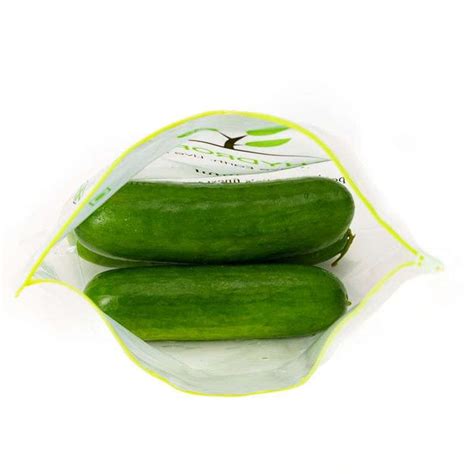 Cucumber Buy Online | Organically Grown – Onlyhydroponics