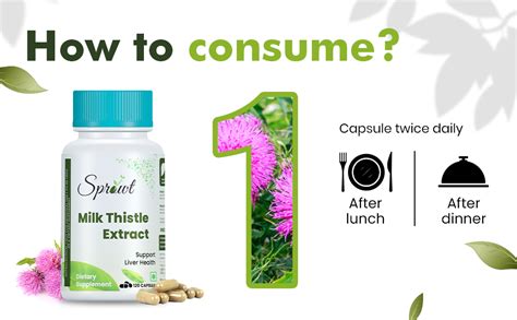 Sprowt Milk Thistle Extract 800mg | Silybum Marianum Detox Supplement ...