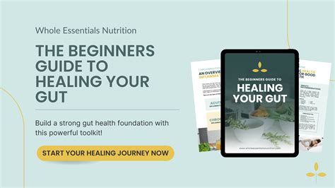 GI Map Testing 的图像结果