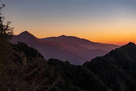 2020 Ford Transit 10 Passenger Van 的图像结果