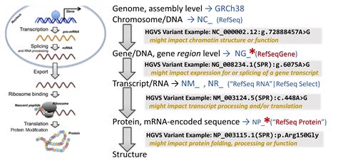 Research Tips for Genetic Disorder & Variant Mapping