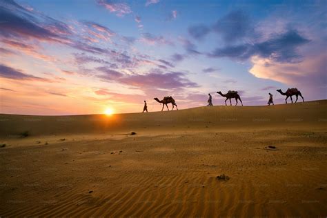 Indian cameleers (camel driver) bedouin with camel silhouettes in sand ...