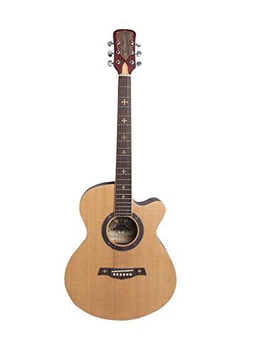 TMS Crusader Acoustic Standard Guitar 39-Inch Brown : Amazon.in ...