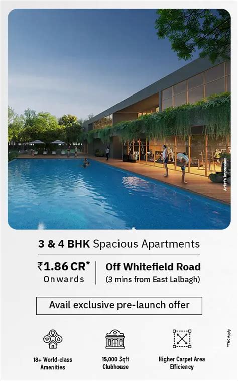 Assetz - Bloom & Dell