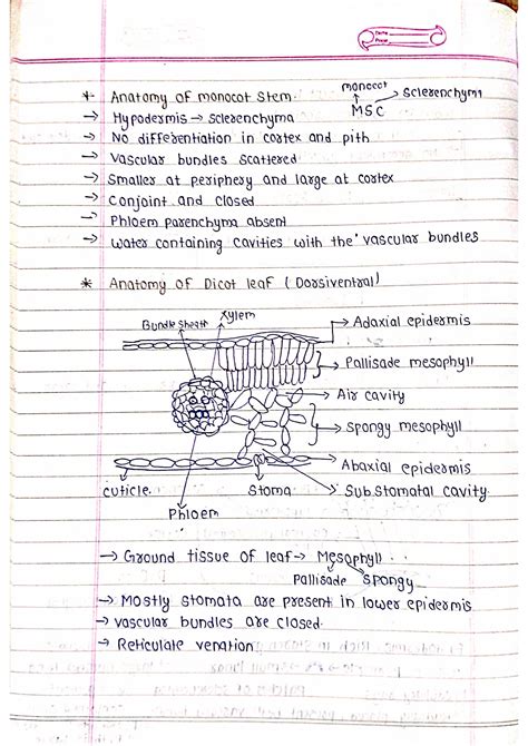 Anatomy of Flowering Plants - Biology Handpicked Notes PDF