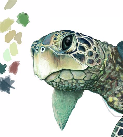 Green Sea Turtle Drawing at GetDrawings | Free download