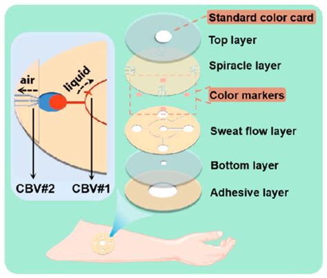 Laser-Cutted Epidermal Microfluidic Patch with Capillary Bursting ...