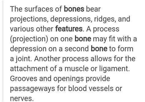 What are the features of bone? - Brainly.in