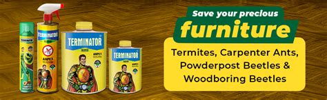 Pidilite Terminator Eco-Friendly Termite Killer Spray Termite, Borer ...