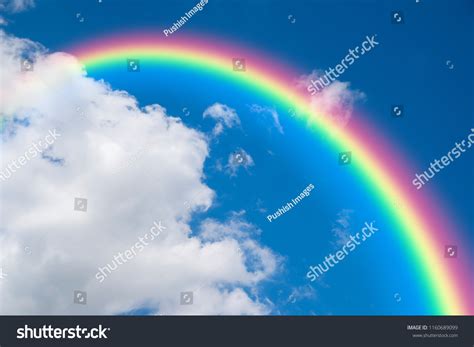 Image result for Rainbow Spring Sticker