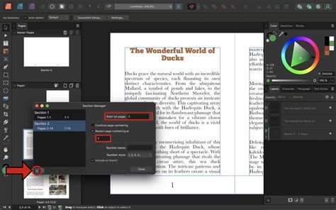 Image result for Affinity Publisher Poster Tutorial