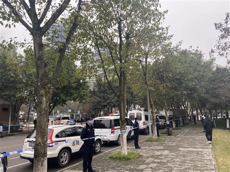 重庆市区发生持枪抢劫杀人案_新浪新闻