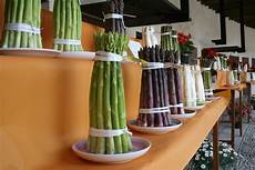 asparagi bianchi come cucinarli complimenti fantin asparagi asparagi bianchi come cucinarli complimenti fantin asparagi