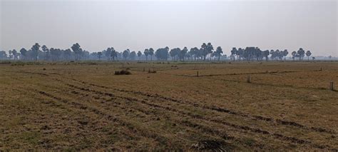 Mohaae Palm City - Residential Land/Plots in Rajgir Nalanda Bihar