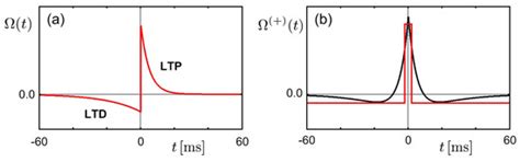 Modeling of a Neural System Based on Statistical Mechanics