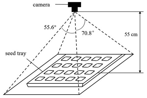 Image Segmentation of Cucumber Seedlings Based on Genetic Algorithm