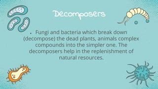 Image result for Decomposition Explained
