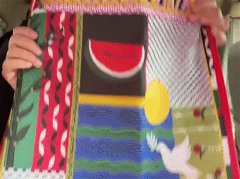 Reached Parliament with a bag in support of Palestine, wrote ...