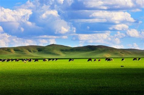 一生必去大草原！神奇的蒙古高原，祖国的塞北屏障；内蒙古6大草原，最大呼伦贝尔