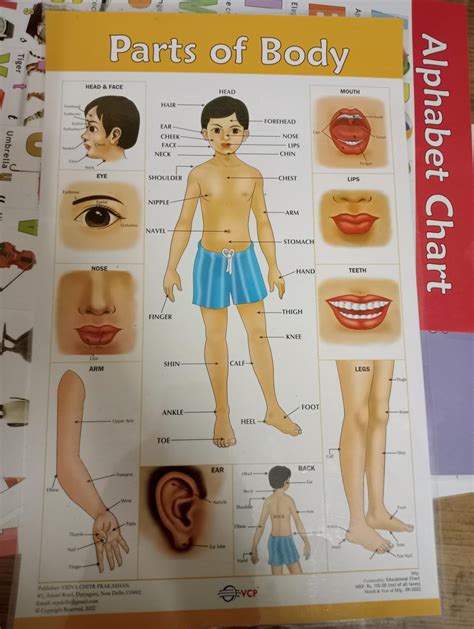 VCP Early Learning Educational Chart Set for Kids | Set of 12 LAMINATED ...