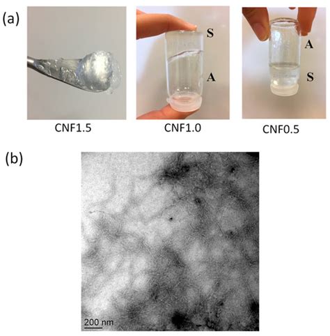 Controlled Polyelectrolyte Association of Chitosan and Carboxylated ...