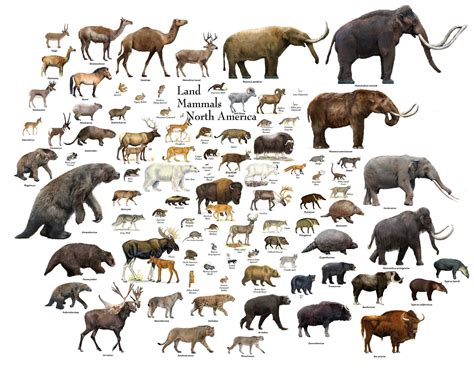 Ice Age Animals Names