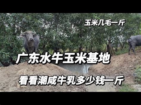 汉中这些“小众”水库，完全不被世俗沾染...你去过几个？_洋县_地方_摄影