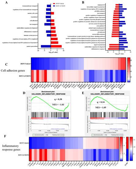 Antioxidants | Special Issue : Natural Antioxidants in Animal Immunity