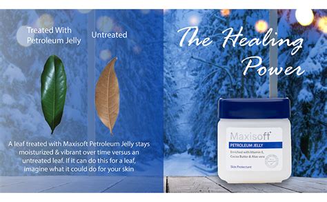 Maxisoft petroleum jelly (Pack of 3) : Amazon.in: Beauty