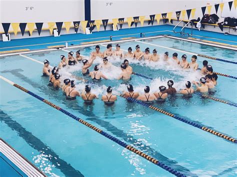 Cheer Team Swim 的图像结果