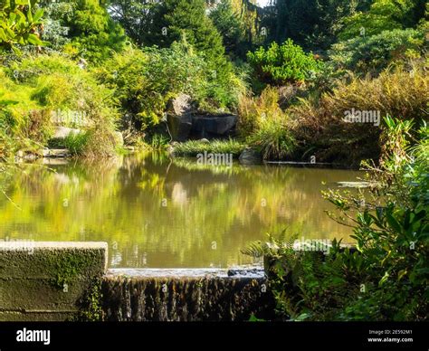 Kubota Garden is a 20-acre (81,000 m²) Japanese garden in the Rainier ...