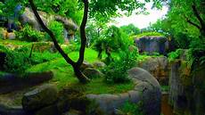 3d Hd Images by 1080p 3d Images Pixelstalk Net 3d Hd Images