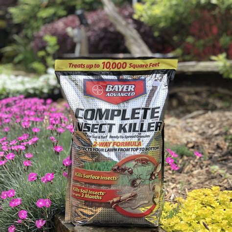When To Apply Grub Killer To Lawn