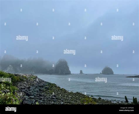 La Push Beach is a series of three beaches near the community of La ...