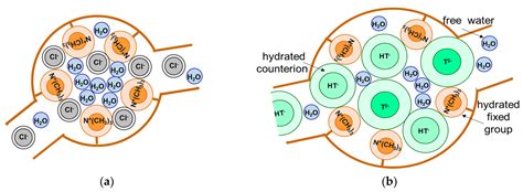 A Review on Ion-Exchange Membrane Fouling during the Electrodialysis ...
