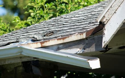 Image result for Gutter Topper Problems