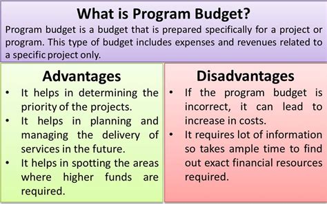 Image result for Program Management Budget Example