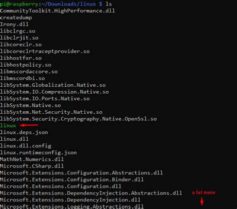 The self-contained export does not work with Linux - bug - Forum