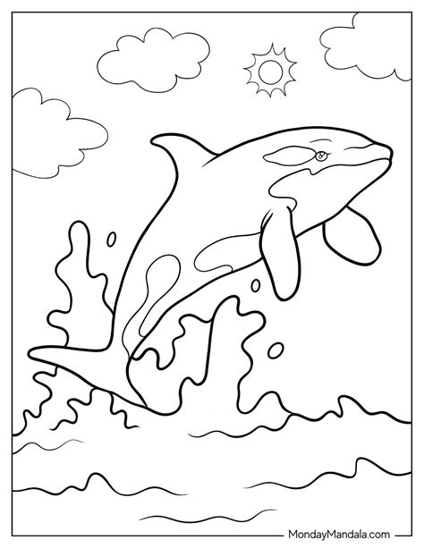 Best 13 20 Killer Whale Coloring Pages (Free PDF Printables) – Artofit