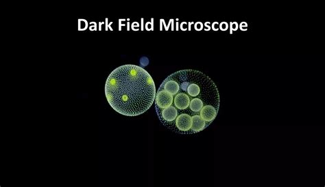 Dark field and Phase Contrast Microscope | PPTX