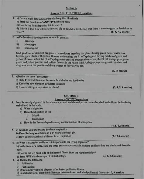 Preparation for the GCE question for next year , Online event, Bamenda ...