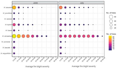 Phenotypic Evaluation of Fire Blight Outbreak in the USDA Malus Collection