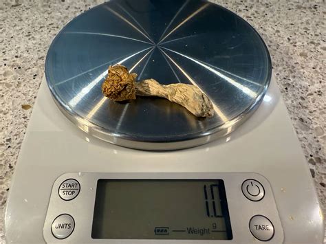 How Much Is a Gram of Shrooms? The True Costs & Risks - Long Island ...